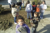 Picture-051