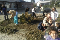 Picture-052