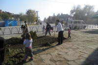 Picture-060