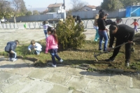 Picture-061