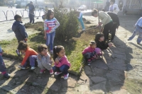 Picture-067