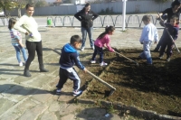 Picture-073