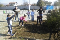 Picture-074