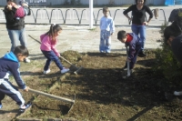 Picture-075