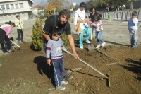 Picture-076